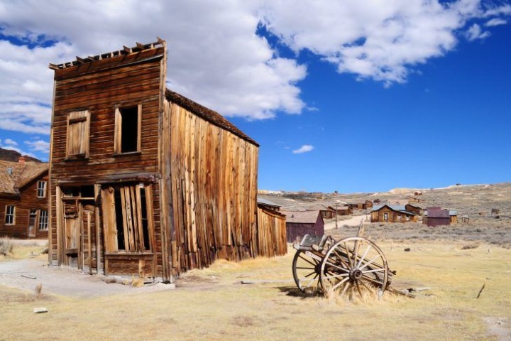 sarah-lachise-143825-unsplash-730x485-1